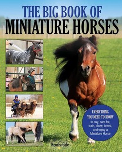 Big Book of Miniature Horses, Kendra Gale - Ebook - 9781570768521