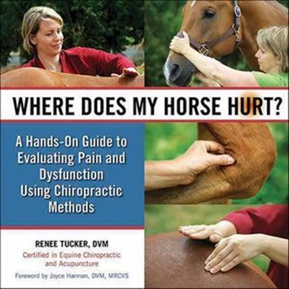 Where Does My Horse Hurt?, Renee Tucker - Ebook - 9781570768798