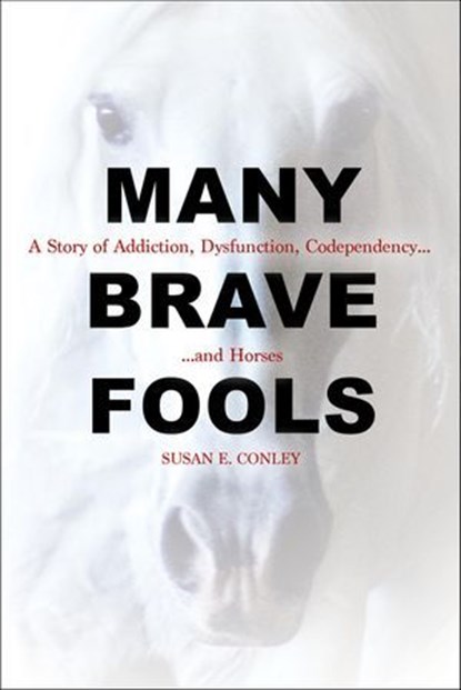Many Brave Fools, Susan E. Conley - Ebook - 9781570769269