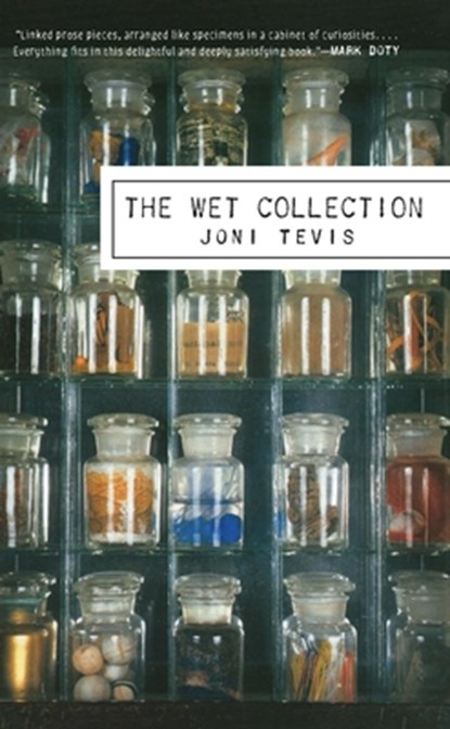 The Wet Collection, Joni Tevis - Paperback - 9781571313164