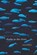 Sharks in the Rivers, Ada Limn - Paperback - 9781571314383