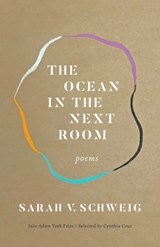 The Ocean in the Next Room - Sarah V. Schweig - 9781571315632