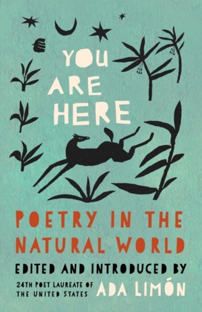 You Are Here, Ada Limn - Paperback - 9781571315694