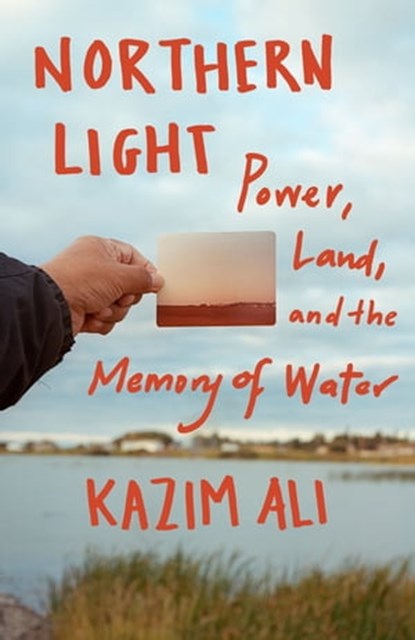 Northern Light, Kazim Ali - Ebook - 9781571317124
