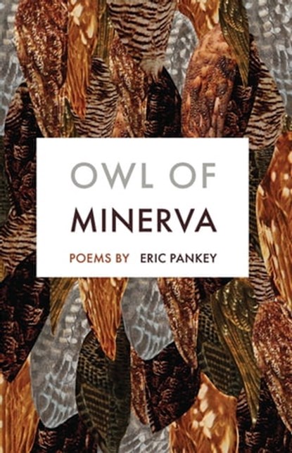 Owl of Minerva, Eric Pankey - Ebook - 9781571317261
