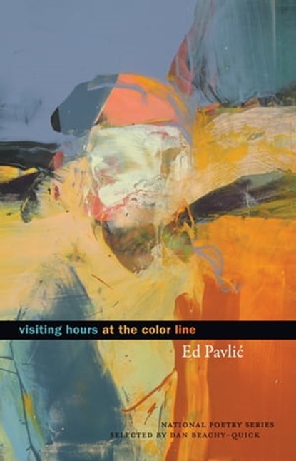Visiting Hours at the Color Line, Ed Pavlic ; Dan Beachy-Quick - Ebook - 9781571319012