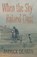When the Sky Rained Dust, Patrick Dearen - Paperback - 9781571688309