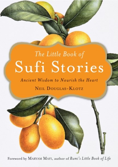 The Little Book of Sufi Stories, Neil Douglas-Klotz - Paperback - 9781571748294