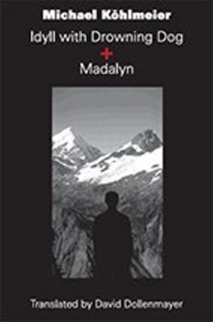 Idyll with Drowning Dog and Madalyn, Michael Koehlmeier - Gebonden - 9781572412002