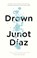 Drown, Junot Díaz - Paperback - 9781573226066