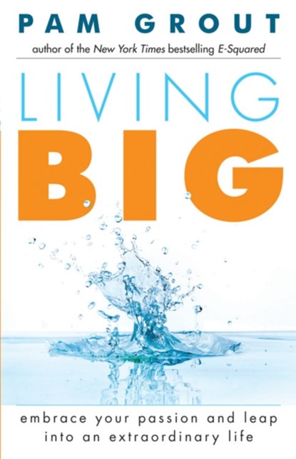 Living Big, Pam Grout - Paperback - 9781573246521