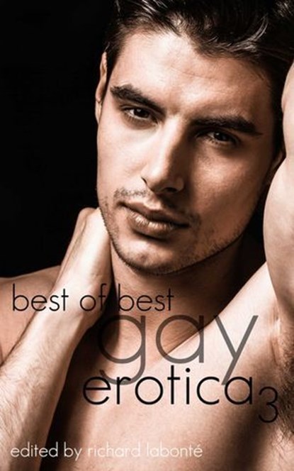 Best of Best Gay Erotica 3, Richard Labonte - Ebook - 9781573445580