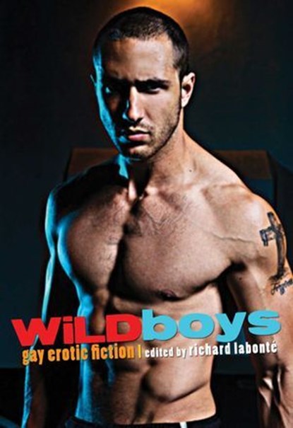 Wild Boys, niet bekend - Ebook - 9781573448383