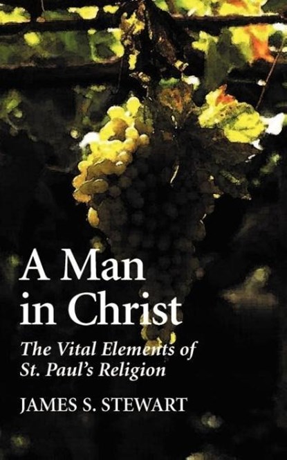 A Man in Christ, James S. Stewart - Paperback - 9781573832243