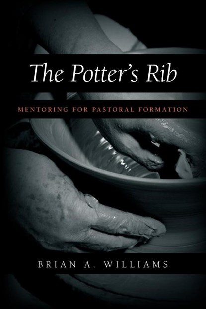 The Potter's Rib, Brian Williams - Paperback - 9781573832670