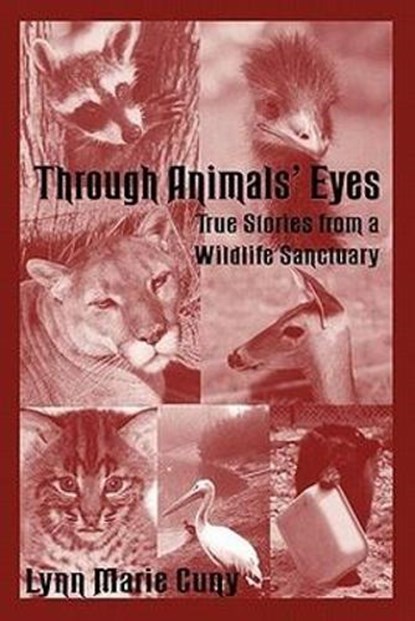 Through Animal's Eyes, Lynn Marie Cuny - Paperback - 9781574411300