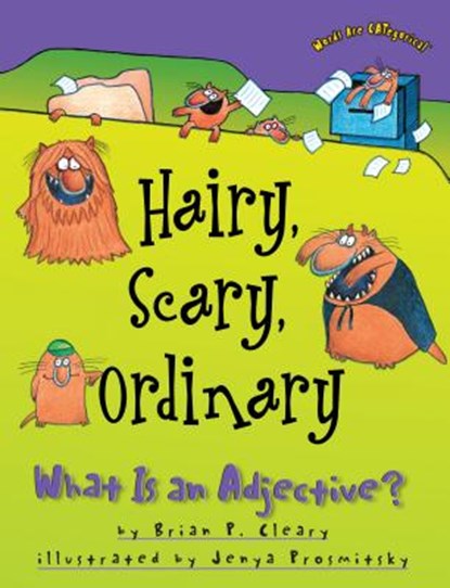 Hairy, Scary, Ordinary: What Is an Adjective?, Brian P. Cleary - Paperback - 9781575055541