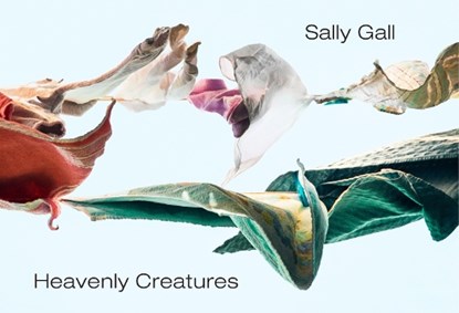 Heavenly Creatures, Sally Gall - Gebonden - 9781576879160