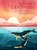 Sunset Gratitude, Emily Silva - Gebonden - 9781577154280