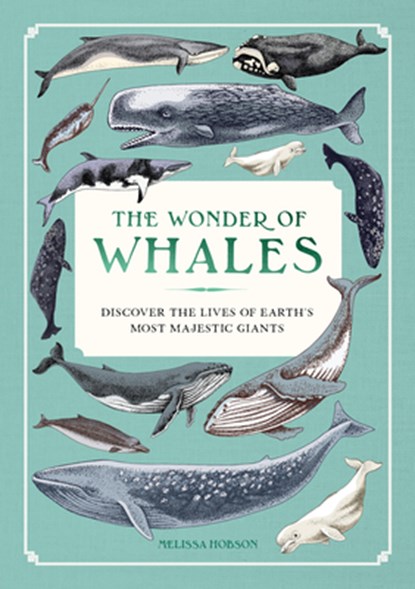 The Wonder of Whales, Melissa Hobson - Gebonden - 9781577159155