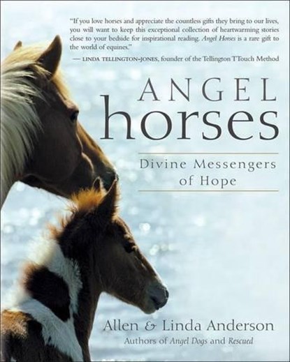 Angel Horses, ANDERSON,  Allen ; Anderson, Linda - Paperback - 9781577315186