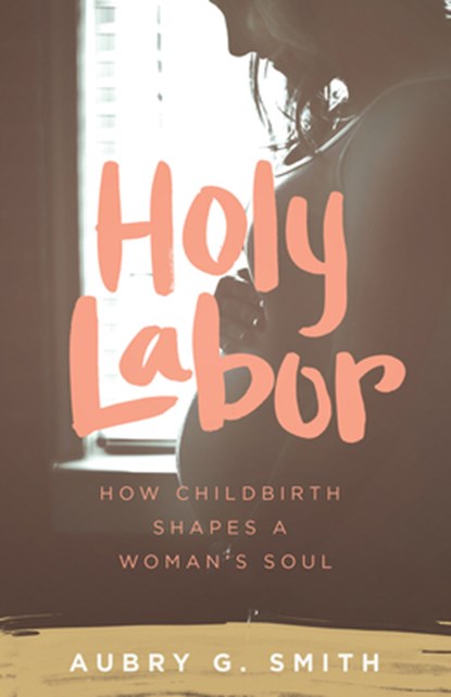 Holy Labor, Aubry G. Smith - Paperback - 9781577997382