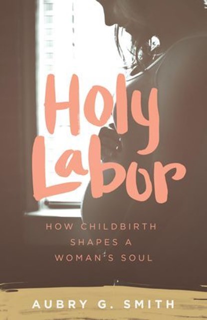 Holy Labor, Aubry G. Smith - Ebook - 9781577997399