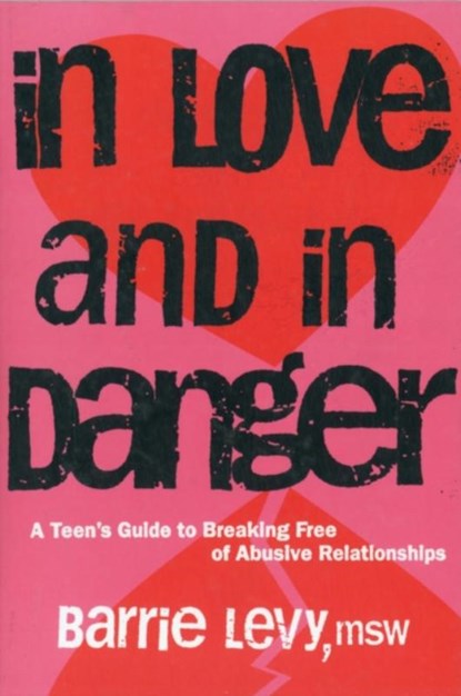 In Love and In Danger, Barrie Levy - Paperback - 9781580051873