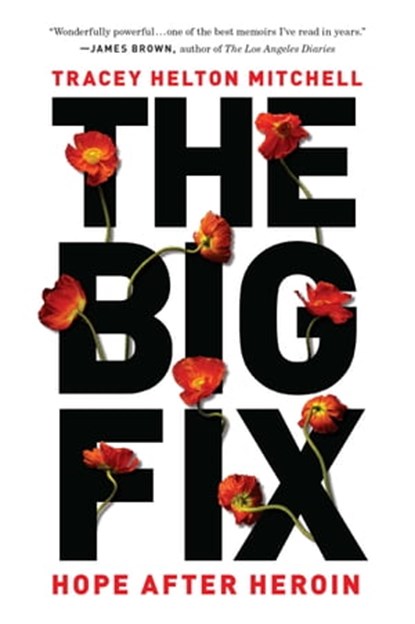 The Big Fix, Tracey Helton Mitchell - Ebook - 9781580056045