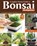 Complete Starter Guide to Bonsai, David Squire - Paperback - 9781580116091
