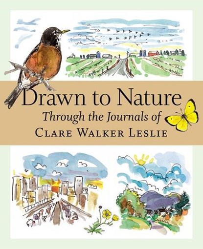 Drawn to Nature, Clare Walker Leslie - Paperback - 9781580176149