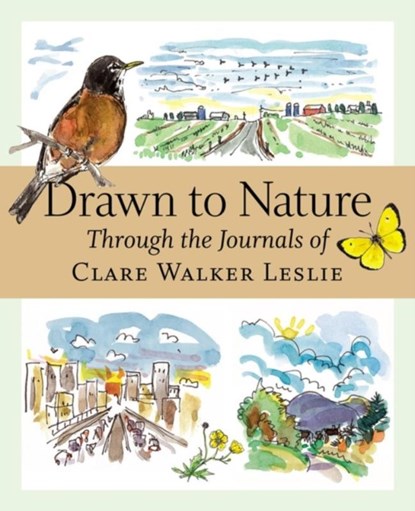 Drawn to Nature, Clare Walker Leslie - Paperback - 9781580176149