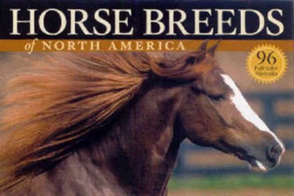 Horse Breeds of North America, Judith Dutson - Paperback - 9781580176507