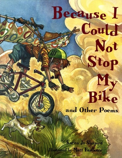 Because I Could Not Stop My Bike, Karen Jo Shapiro - Paperback - 9781580891059