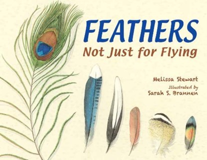 Feathers, Melissa Stewart - Paperback - 9781580894319
