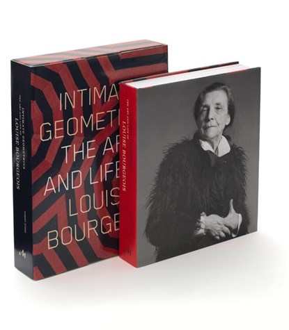 Intimate Geometries, Robert Storr - Gebonden - 9781580933636