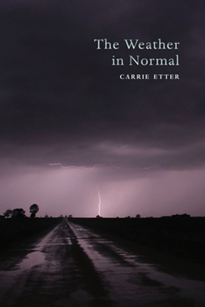 The Weather in Normal, Carrie Etter - Paperback - 9781581771749