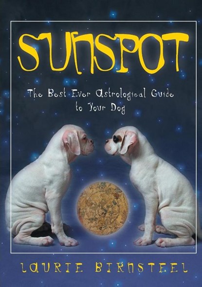Sunspot, Laurie Birnsteel - Paperback - 9781581822649