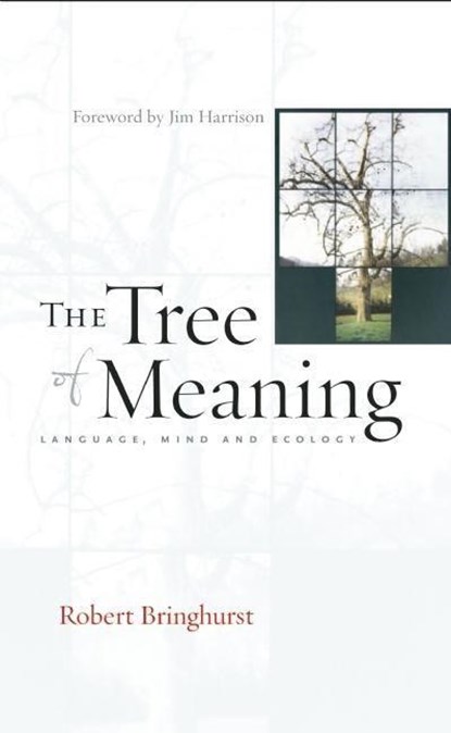 The Tree of Meaning, Robert Bringhurst - Paperback - 9781582435053