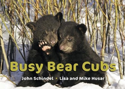 Busy Bear Cubs, John Schindel - Gebonden - 9781582463025