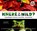 Where in the Wild?: Camouflaged Creatures Concealed... and Revealed, David M. Schwartz - Paperback - 9781582463995