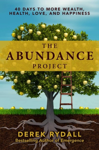 The Abundance Project, Derek Rydall - Gebonden - 9781582706528