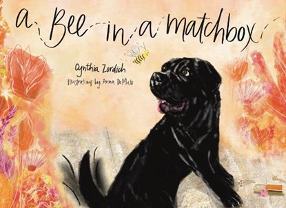 Bee in a Matchbox, Cynthia Zordich - Paperback - 9781582709772
