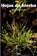 Hojas de Hierba, Walt Whitman - Paperback - 9781583487709