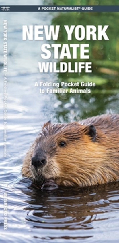 New York State Wildlife: A Folding Pocket Guide to Familiar Animals, Waterford Press - Paperback - 9781583552988