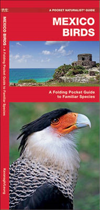 Mexico Birds, KAVANAGH,  James - Gebonden - 9781583554807