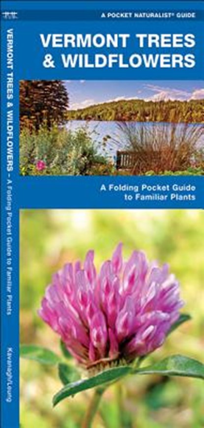 Vermont Trees & Wildflowers: A Folding Pocket Guide to Familiar Plants, James Kavanagh - Paperback - 9781583555187