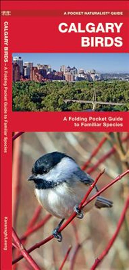 Calgary Birds: A Folding Pocket Guide to Familiar Species, James Kavanagh - Paperback - 9781583555484