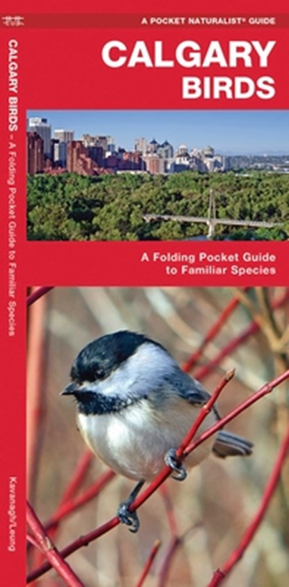 Calgary Birds, James Kavanagh - Paperback - 9781583555484