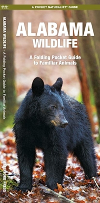 Alabama Wildlife: A Folding Pocket Guide to Familiar Animals, James Kavanagh - Paperback - 9781583556719
